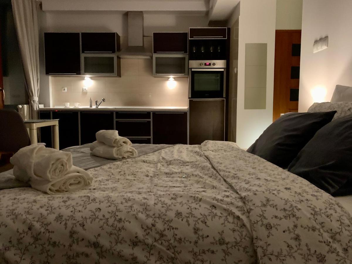 City View Wellness Apartment Swim&Steam&Relax Krakau Exterior foto
